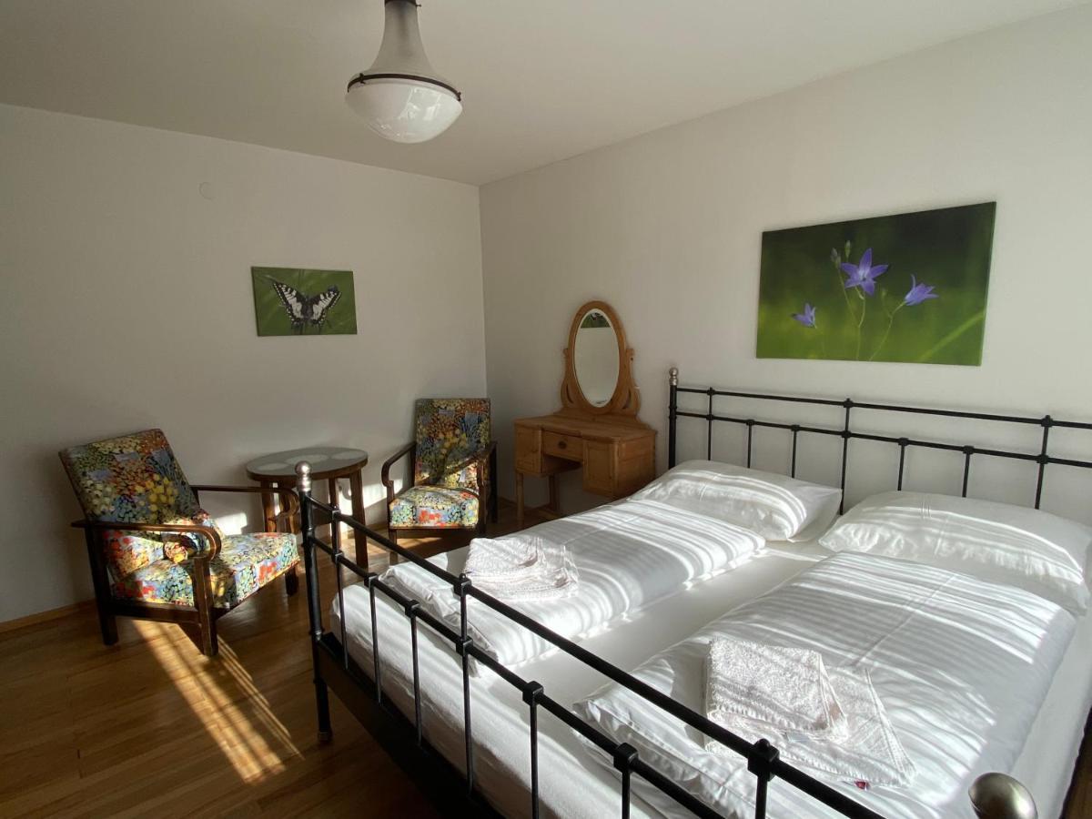 Appartement Haus Im Gruenen à Saalfelden Extérieur photo