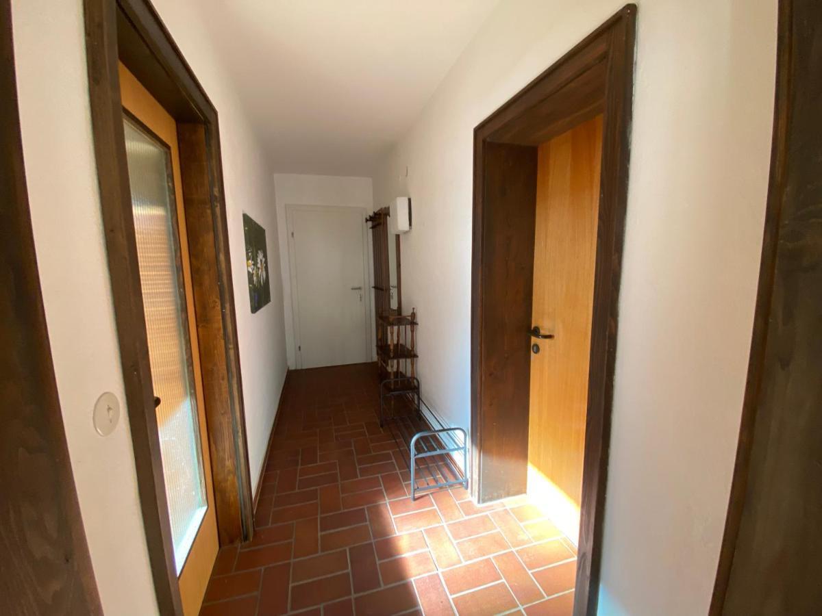 Appartement Haus Im Gruenen à Saalfelden Extérieur photo