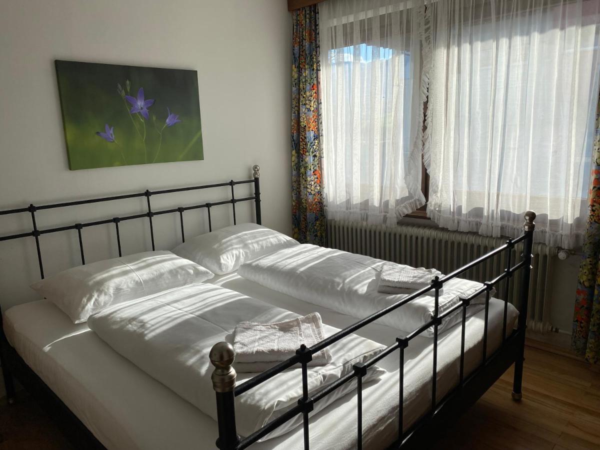 Appartement Haus Im Gruenen à Saalfelden Extérieur photo