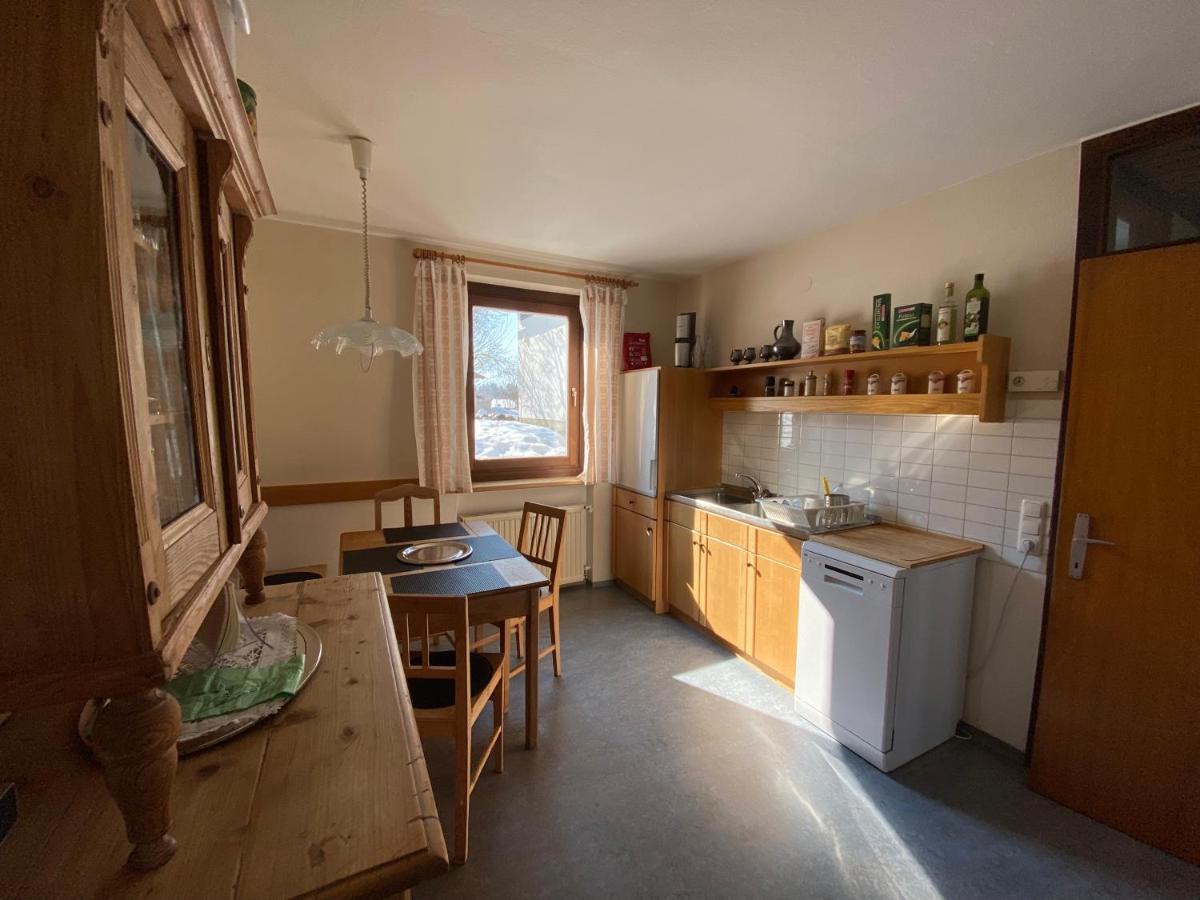 Appartement Haus Im Gruenen à Saalfelden Extérieur photo