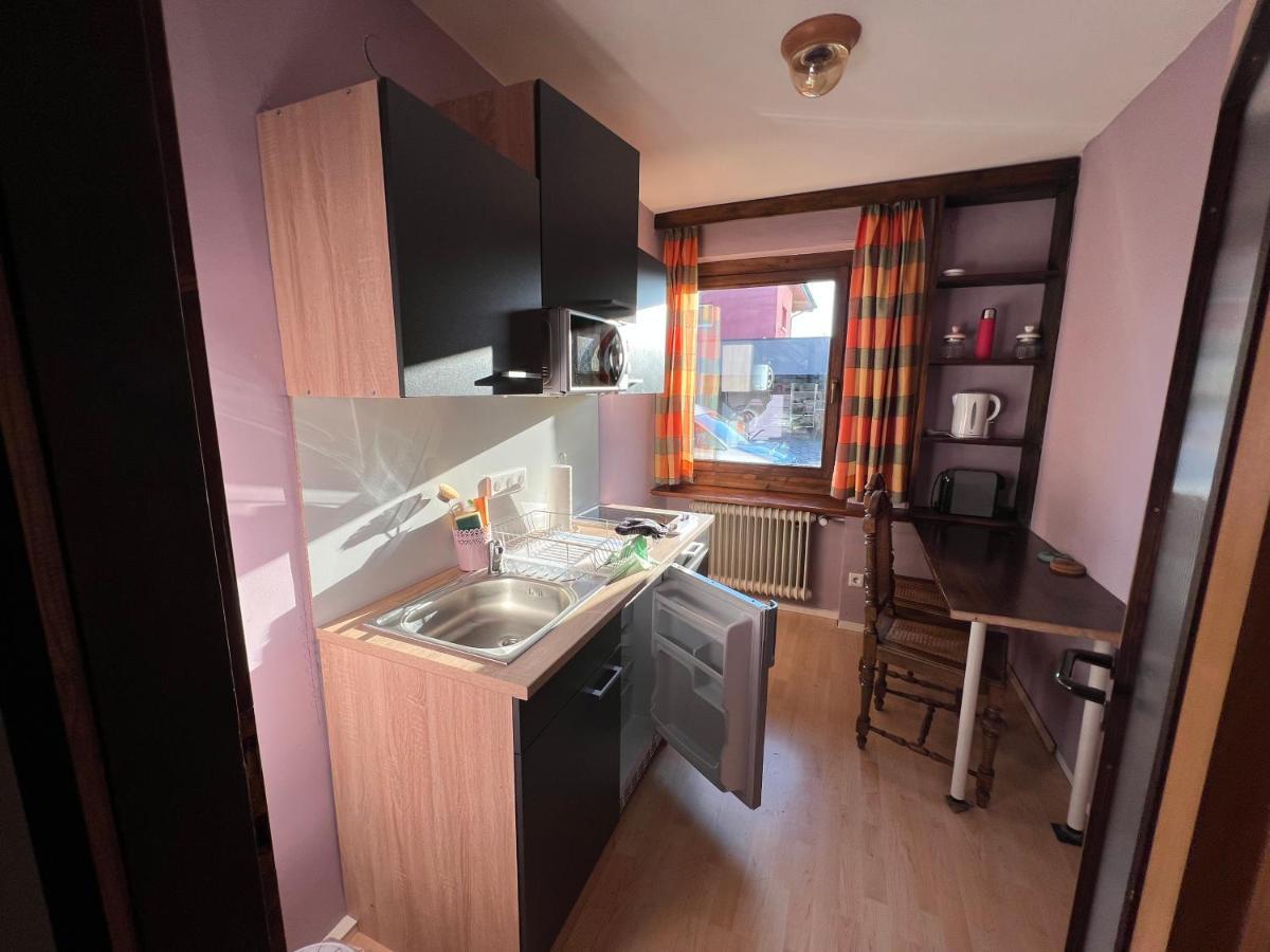 Appartement Haus Im Gruenen à Saalfelden Extérieur photo